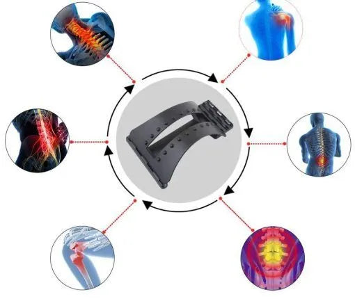 Civière dorsale orthopédique